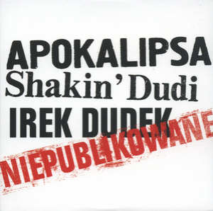 Niepublikowane (2006, Irek Dudek - Anthology 1976-2006, CD10)