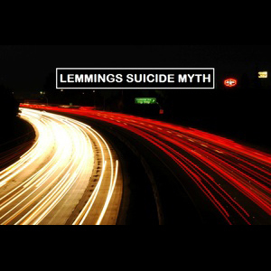 Lemmings Suicide Myth