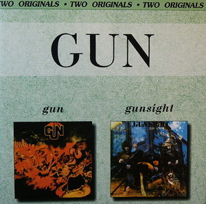 Gun / Gunsight