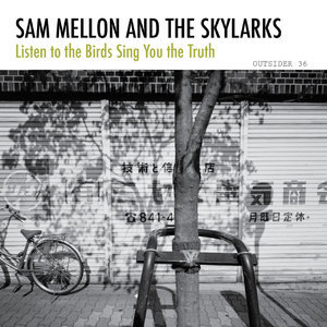 Listen To The Birds Sing You The Truth