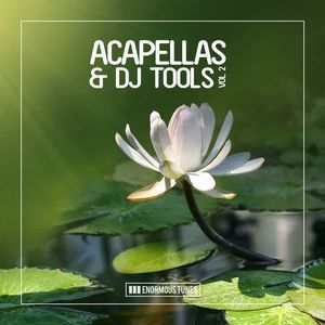 Enormous Tunes Acapellas & Dj Tools, Vol. 2
