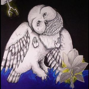 The Magnolia Electric Co. (10th Anniversary Deluxe Edition) (2CD)