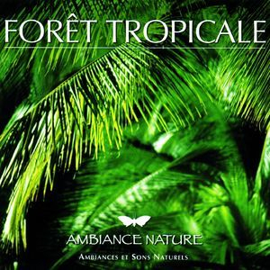 Ambiance Nature Foret Tropicale