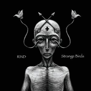 Strange Birds