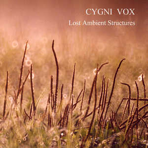 2017 Lost Ambient Structures