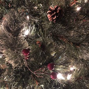 Christmas Card