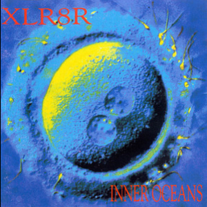 Inner Oceans