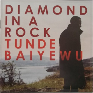 Diamond In A Rock