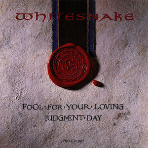 Fool For Your Loving / Judgment Day [CDS]