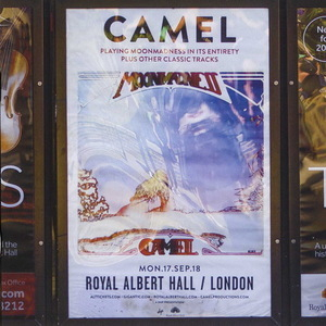Camel At The Royal Albert Hall