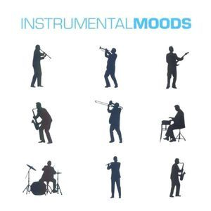 Instrumental Moods (2CD)