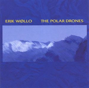 The Polar Drones