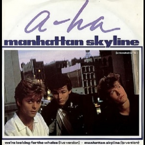 Manhattan Skyline (Extended Remix)