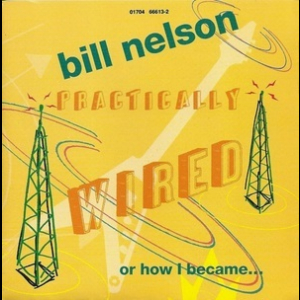 Practically Wired Or How I Became Guitarboy