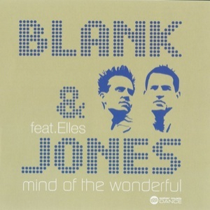 Mind Of The Wonderful