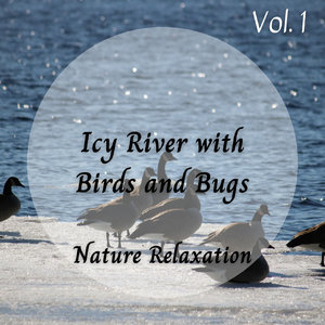 Nature Sound- Icy River With Birds And Bugs Vol. 1
