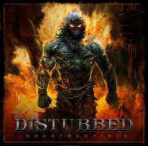 Indestructible (24b/96 kHz) [VinylRip]