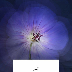 Deluxe Background for Pure Daydreamers