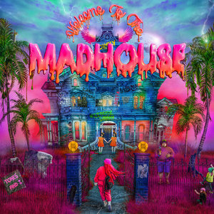 Welcome To The Madhouse (Deluxe)