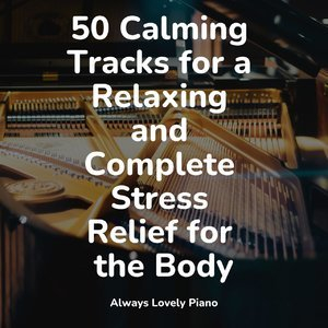 50 Calming Tracks for a Relaxing and Complete Stress Relief for the Body