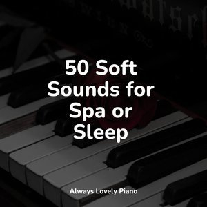 50 Soft Sounds for Spa or Sleep