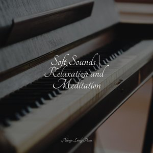 Soft Sounds | Relaxation and Meditation