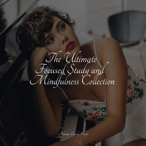 The Ultimate Focused Study and Mindfulness Collection