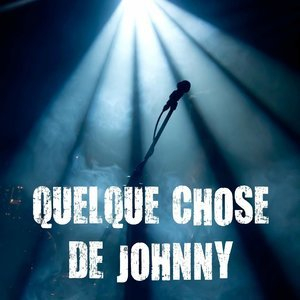 Quelque chose de Johnny (40 chansons inoubliables)