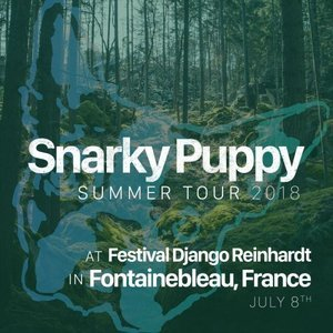 Festival Django Reinhardt, Fontainebleau, France