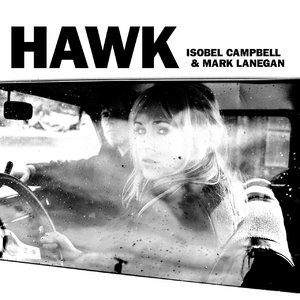 Hawk