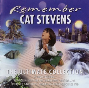 Remember (The Ultimate Collection)