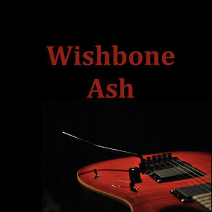 Wishbone Ash  - WXRT FM Broadcast Easy Street Glenview IL 24th January 1992.
