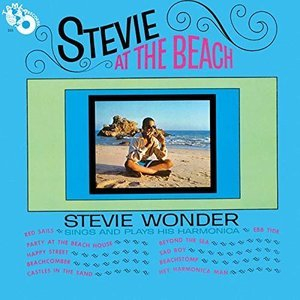 Stevie At The Beach