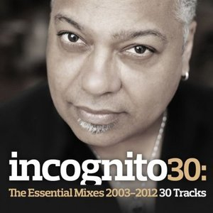 Incognito 30: The Essential Mixes 2003-2012