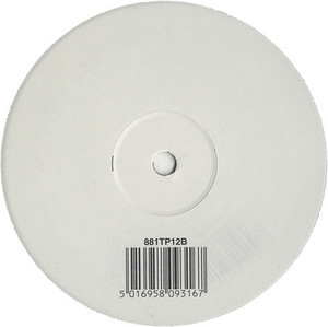 Dull Flame Of Desire (Vinyl 12'' White Label B)