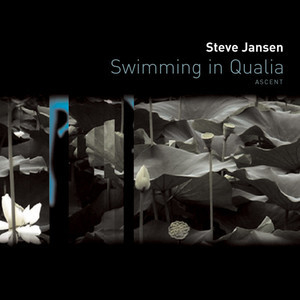 Swimming In Qualia