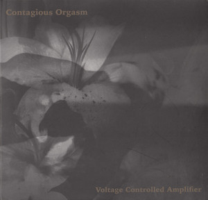 Voltage Controlled Amplifier