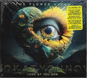 Look At You Now (eur. Digipak '23)