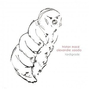 Tardigrade