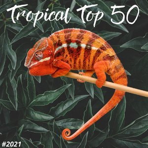 TROPICAL TOP 50 #2021