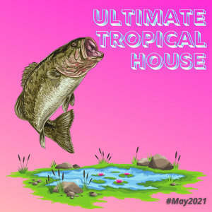 Ultimate Tropical House (#May 2021)