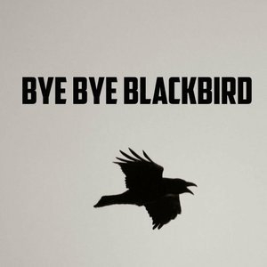 Bye Bye Blackbird