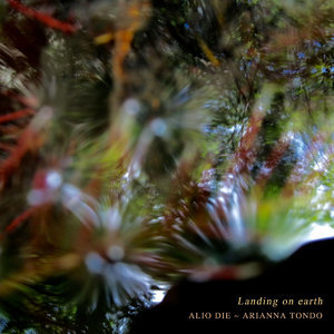 Landing On Earth