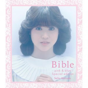Bible -Pink & Blue