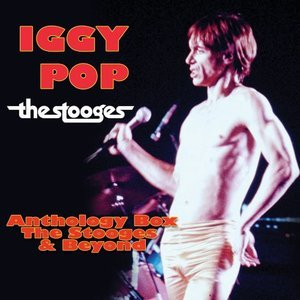 Anthology Box: The Stooges & Beyond