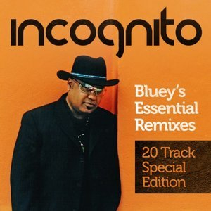 Bluey's Essential Remixes