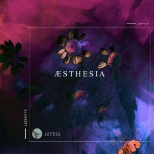 Aesthesia