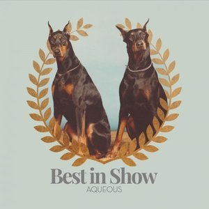 Best in Show