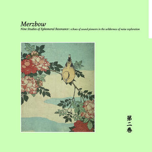 Nine Studies of Ephemeral Resonance Volume 2