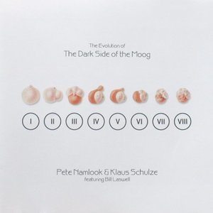 The Evolution Of The Dark Side Of The Moog